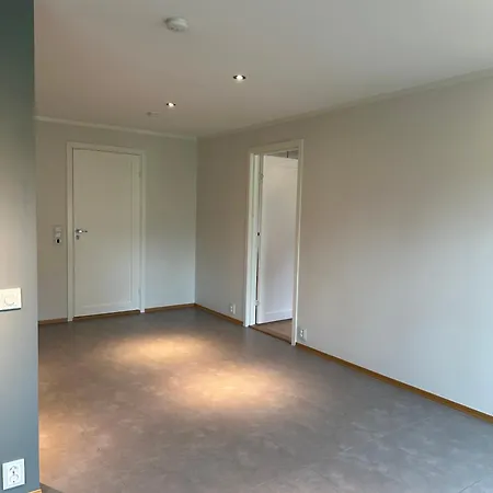 Flott Enebolig I Rekke Til Leie